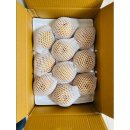 배가농원 이미지