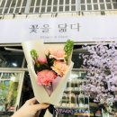 꽃을닮다 이미지