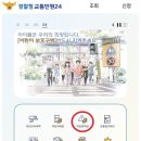 어린이보호구역 신호위반 범칙금ㅣ과태료 정리 이미지