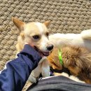 세영자원 이미지