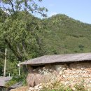 대추나무집 이미지