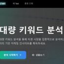 스마트플랜 | 블랙키위로 키워드 선정하기, 한 달 무료 후 베이직 플랜 구독후기