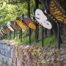 나비공원 이미지