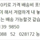 아미산건강원