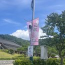 에이스푸드경북 | 칠곡 아기자기한 브런치 카페 산소리 크림라떼와 소금빵이 맛있는 칠곡보 뷰 산소리커피