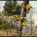 청해당구장 이미지