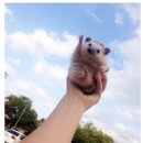 따봉 이미지