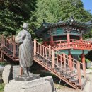 두메아리 이미지