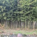 고암이응노생가기념관 | 홍성 이응노의 집 고암이응노생가기념관 미술관 방문 정보 정리