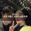 삼거리호프 | [공주 계룡산 동학사 벚꽃축제] 2026년 4월 2일 실시간 개화상황 주차꿀팁 맛집 도덕봉가든 먹거리정보