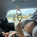 타워스파 | 태안 아일랜드리솜, 9개월 아기랑 다녀온 오아식스 스파·S25 타워콘도 마운틴뷰 후기 (조식ㅇ)