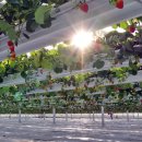 (주)대화엔지니어링 이미지