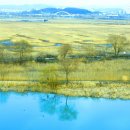 시흥갯골생태공원의 겨울풍경 2편 이미지