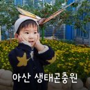 토정삼계탕 신정호관 | 충남 아산 가볼 만한 곳) 깨끗하고, 재미있고, 예쁘다! 아산 생태곤충원(이용 시간/휴관 정보)