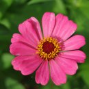 장당공원 이미지