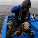 부부전파사 이미지