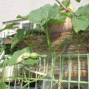 남옥농장 이미지