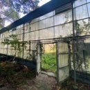 숙원농장 이미지