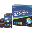 액티브업