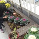 우2동-12 이미지