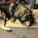 옷에 빠지다 이미지