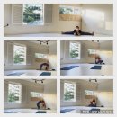 몸숨맘요가원