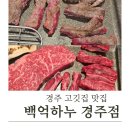 백억하누 경주점