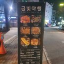 금빛야행