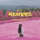 넘버원허브 | 포천 가볼만한곳 허브아일랜드 핑크뮬리·라벤더 데이트+할인 입장권