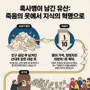 페스트와 린넨 이미지