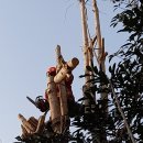 은행나무빌라 이미지