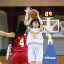 분당-195 이미지