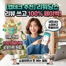 주식회사 홍천엠앤티 | [앱테크 추천] 리워딩스 내돈내산 리뷰 쓰고 100% 페이백 꿀팁! (사실 3.3% 제외이긴 해.. 추천코드 있음)