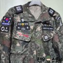 전우군장