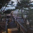 엘비스 펜션 이미지