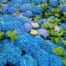 동선목장 이미지