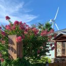 7 세븐세탁소 이미지