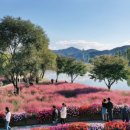 자라섬 주차장 이미지