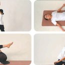 신세계 스포렉스 이미지