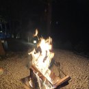 충주 카누캠핑장 후기 및 예약방법🏕 / 충주호 근처 캠핑장