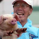 황금 이미지