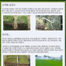 청원조경관리 이미지