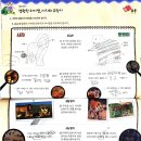 ㈜참신 | 독서토론 수업 후기(초3)- &lt;누가 이길까? 사자 vs 호랑이&gt;