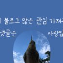 찬옥양꼬치