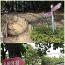 성남극장 이미지