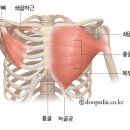 터짐 휘트니스