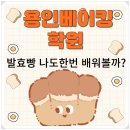 좋은빵만들기 | 용인베이킹학원 취미로 배운 발효빵 만들기 후기