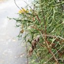 운기네 민박 이미지