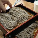 종로-신영-종로-영-163 | [종로구/종각역/광화문역/광화문 맛집] "광화문 미진" (미쉐린가이드 맛집, 메밀국수 맛집, 돈가스 맛집)