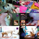 봉희농장 이미지